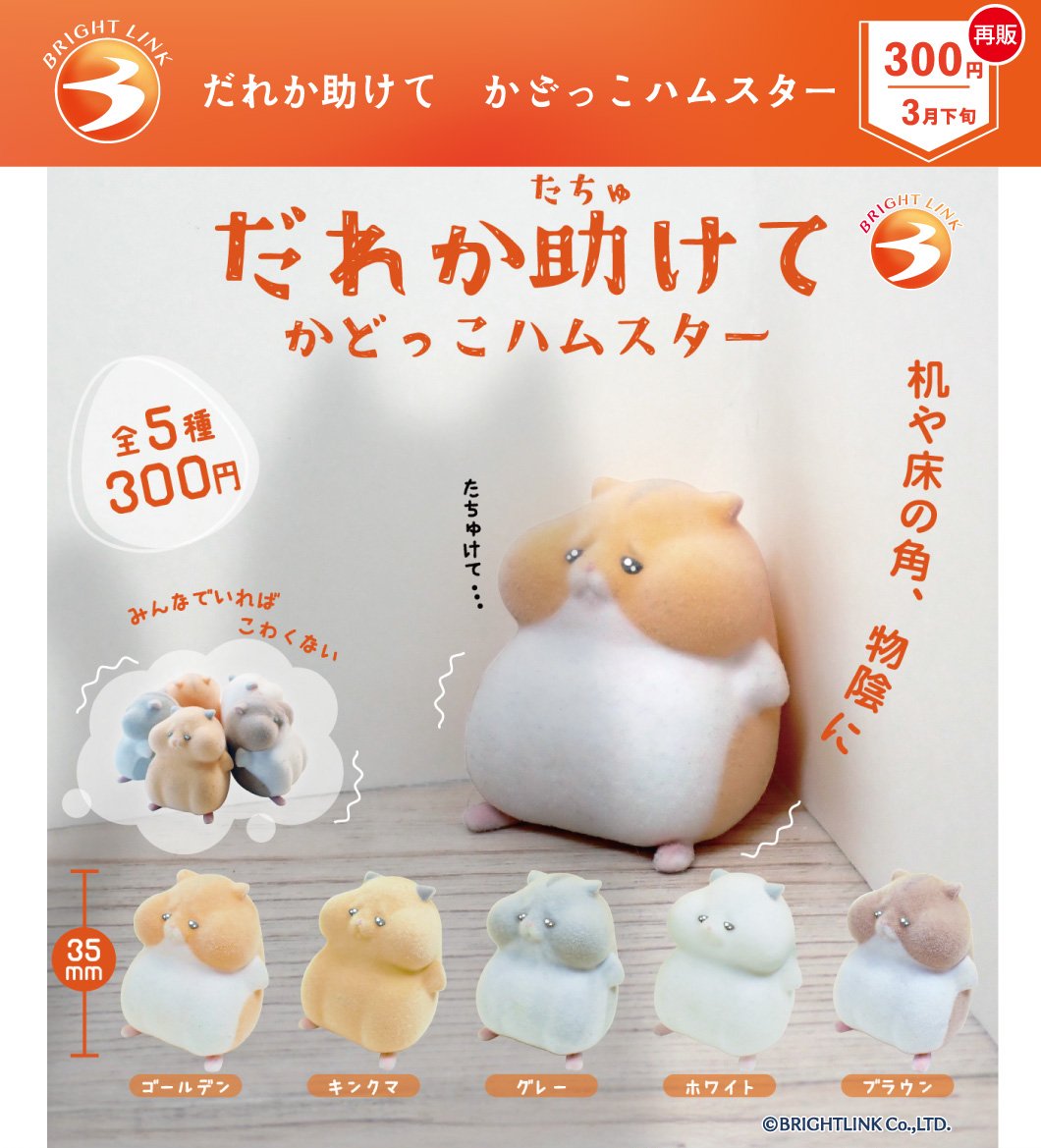 ＼最新情報／
3月発売予定商品②

【かどっこハムスター】（再販）

🐹「もう逃げ場がないでチュー」　😼

またしても逃げる羽目になった
ハムスターたち。

私たちが目の前で何をしようと怯えてる…
彼らは目が合った瞬間から逃走モード🐹💨

＃カプセルトイ ＃ガチャガチャ ＃ブライトリンク