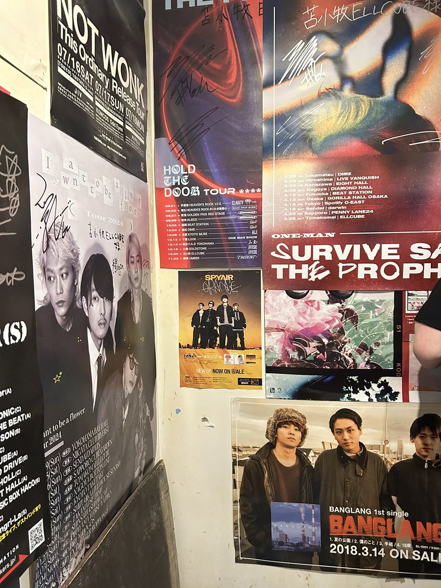 hanaさん専用 苫小牧だけどこれ貼ってあった オレンジツアー