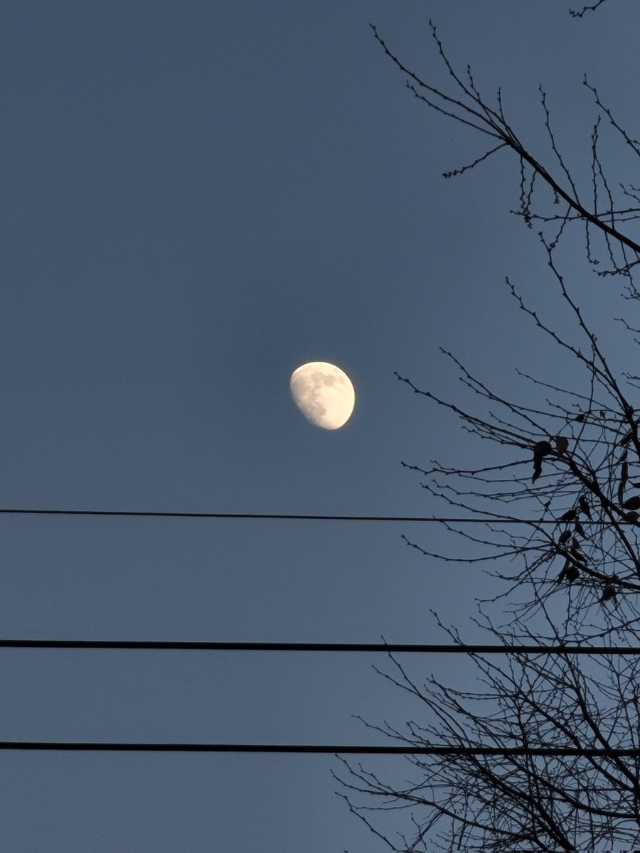 code_name08's tweet image. 달