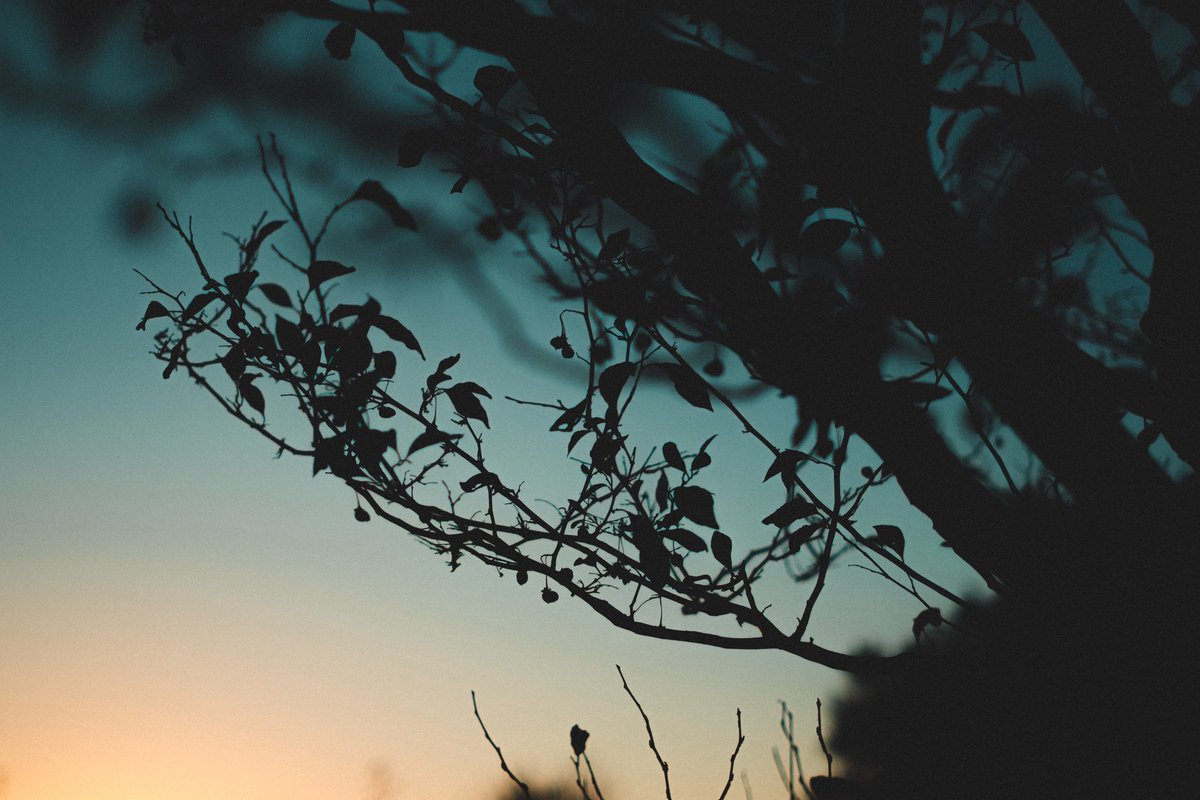 mochi_nostalgia's tweet photo. The afterimage of the sunset glow. https://t.co/Ma5OV4UXpK