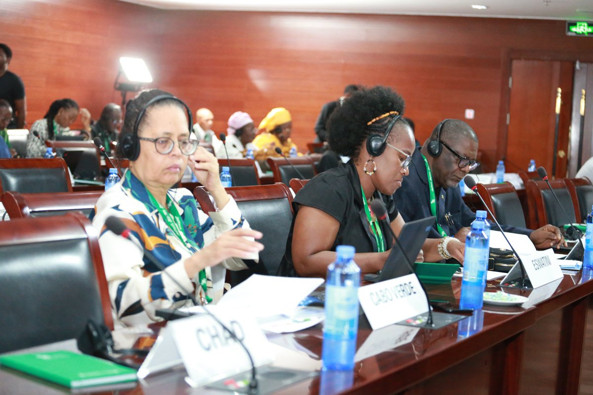 acerwc's tweet image. Mrs. Allegra Franchetti, Secretary to the UNCRC, outlined key challenges in State Party reporting and praised African States for their strong reporting record. She also highlighted opportunities for deeper collaboration between the ACERWC and the UNCRC under their MoU.

#ACERWC35