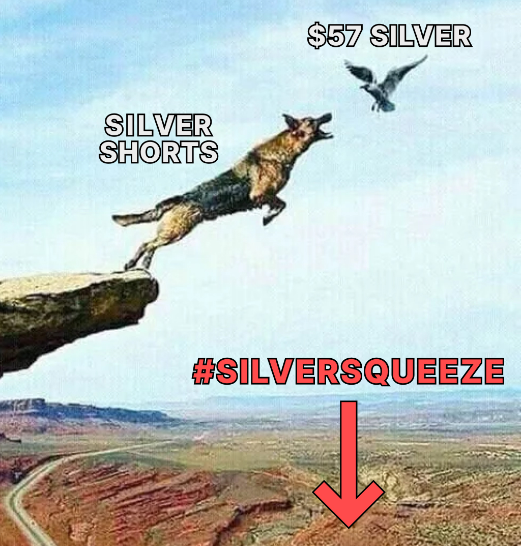 MakeGoldGreat's tweet image. SHORTS ALL IN.