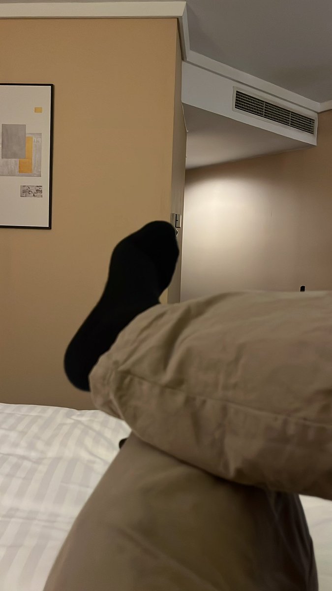 KingdomS tweet media