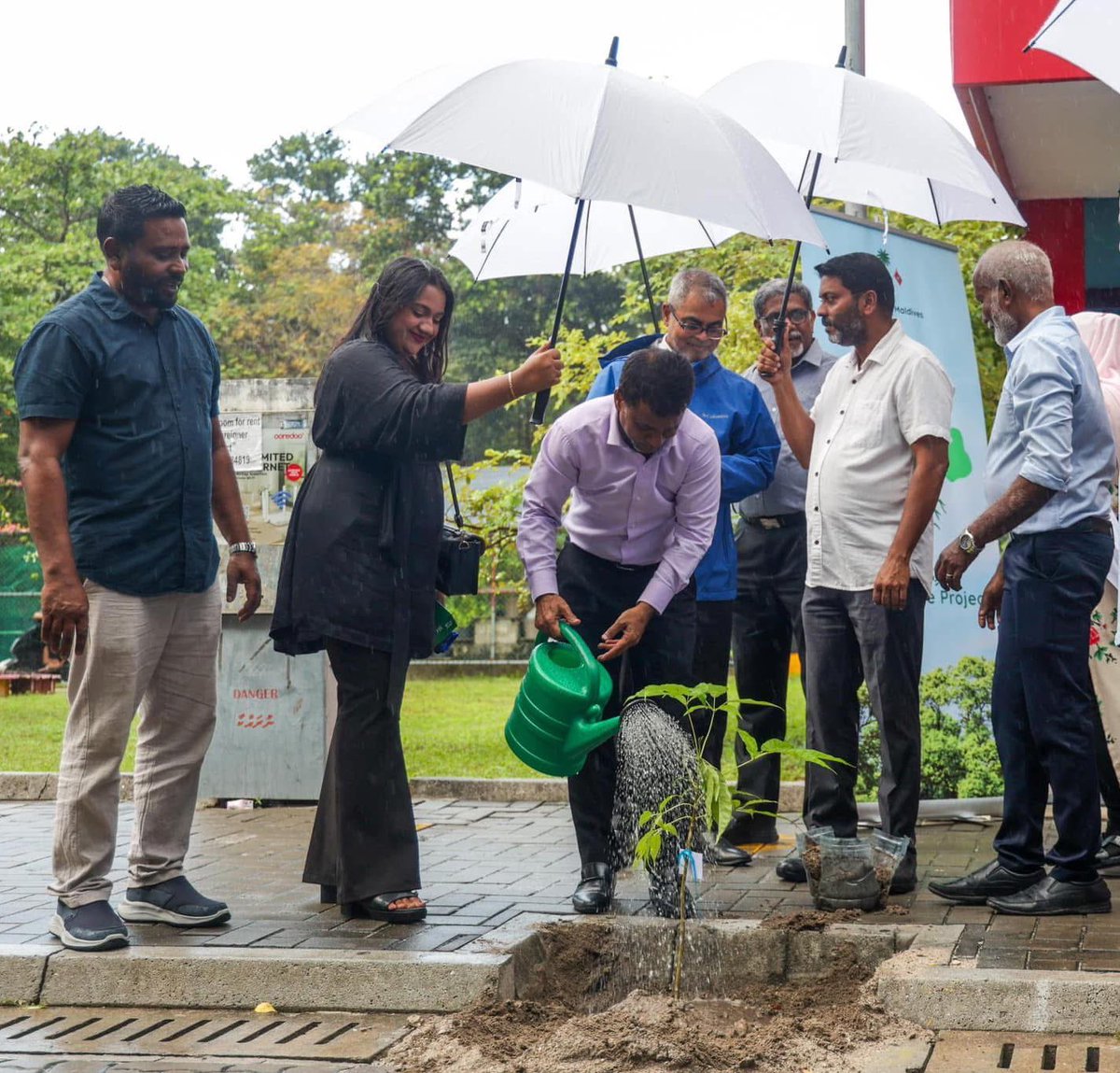 އަވިދޭއިރު ގަސް ކަނޑާފައި،
ވިއްސާރައިރު ފެން ދިނުން.