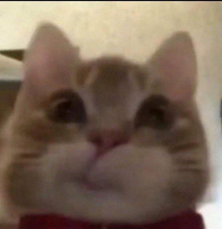 wonbin loops (@wnbsloop) on Twitter photo 