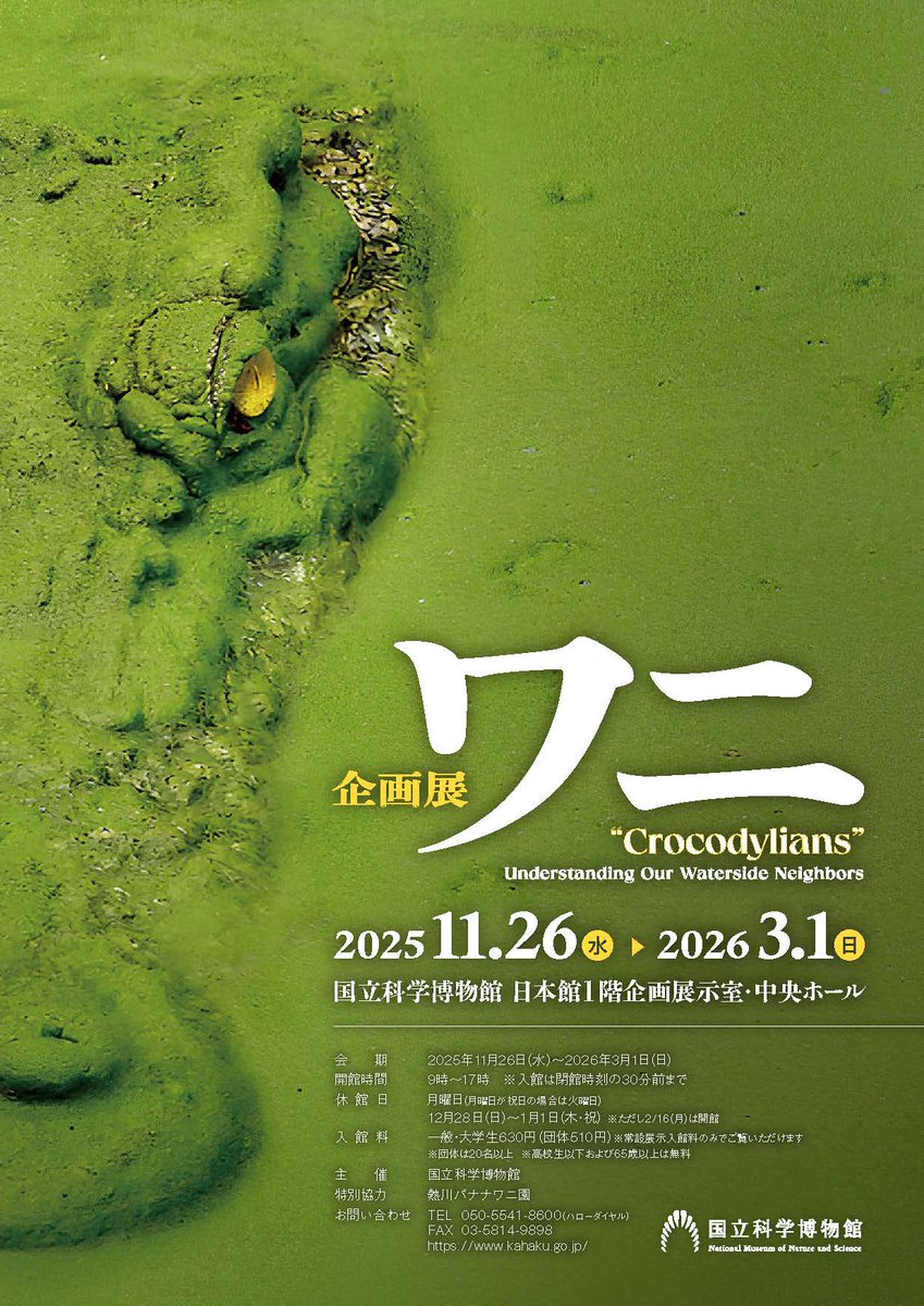 ✨🏛️開催中の展覧会情報🏛️✨

🌋特別展「大絶滅展―生命史のビッグファイブ」
会期：~2026年2月23日(月・祝)
daizetsumetsu.jp

🐊企画展「ワニ」
会期：~2026年3月1日(日)
kahaku.go.jp/tenji-event/ni…