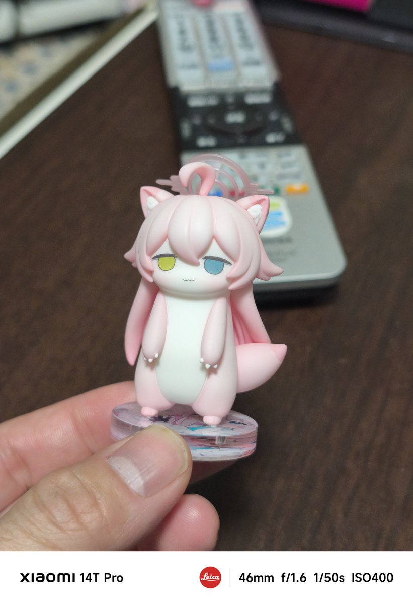 라떼쨩 ラテちゃん 12코 BR 25-27 /@C107(火)東ヨ-19b (@uni_lattes2