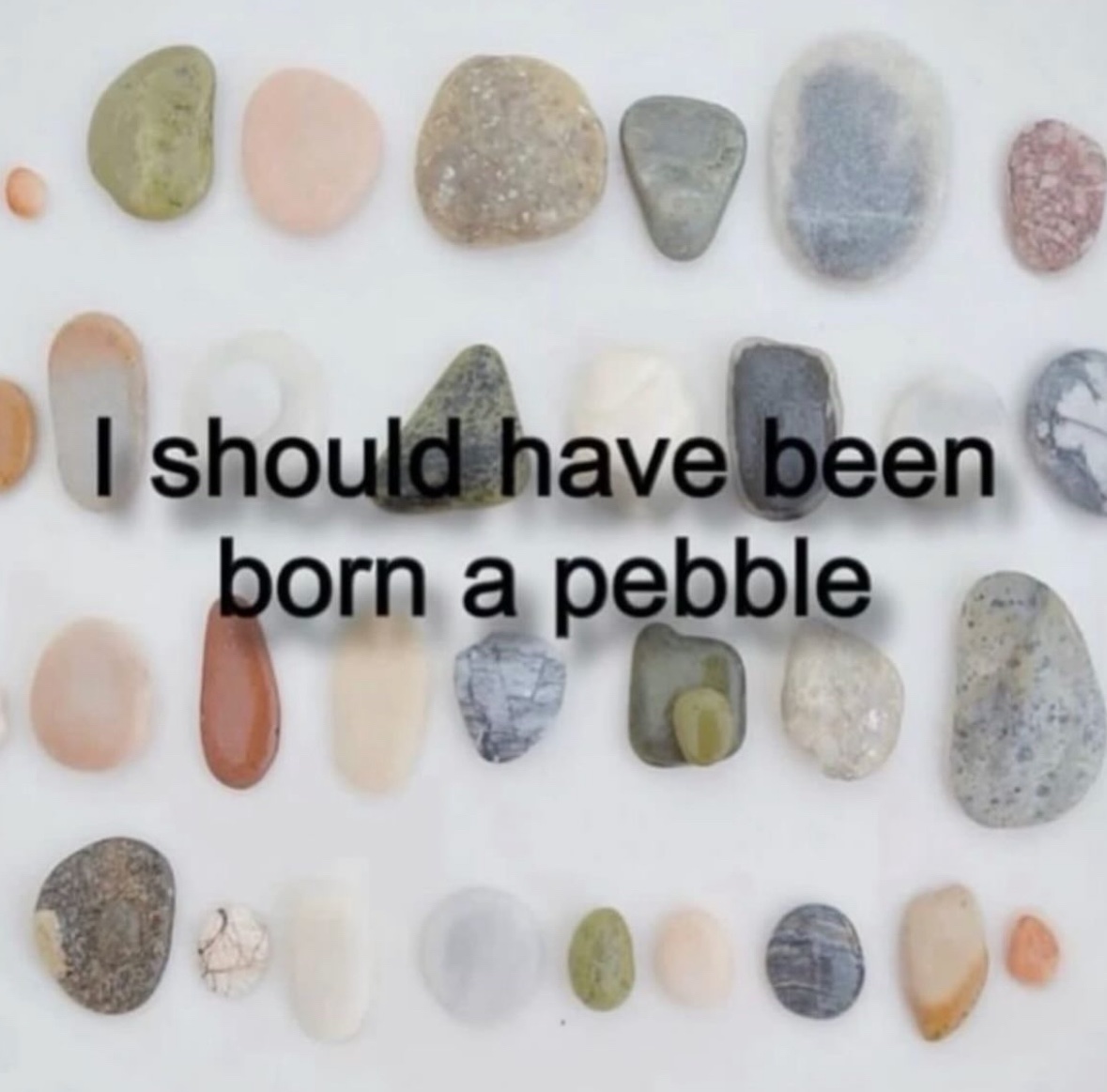 Respectful Memes (@respectfulmemes) on Twitter photo 