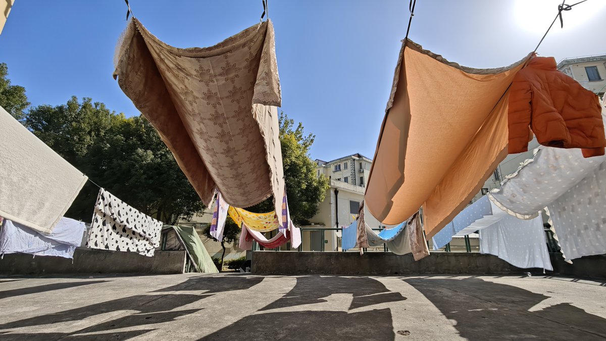 Jaap 雅普 Grolleman tweet media