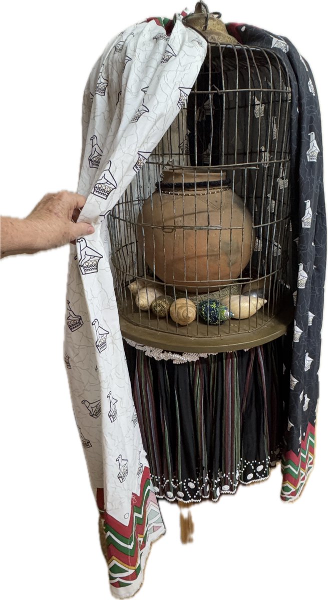 Lin Barrie tweet media