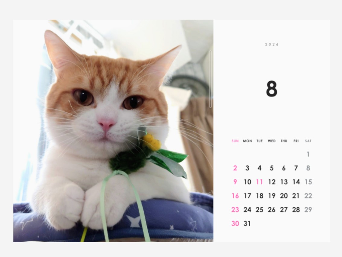 おちゃまる (@ochamarusan0126) / Posts / X