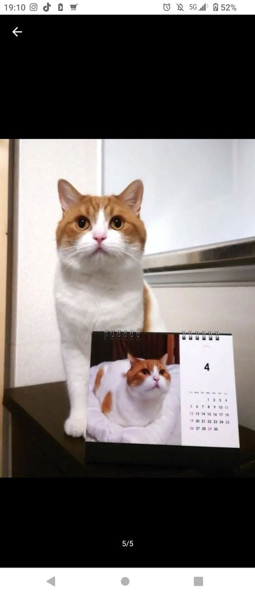 おちゃまる (@ochamarusan0126) / Posts / X