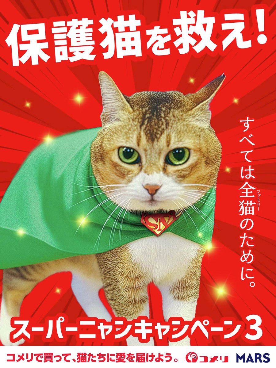 🐈スーパーニャン紹介 🐈／ 【おこめ】 @oki_soroe 多頭飼崩壊から保護