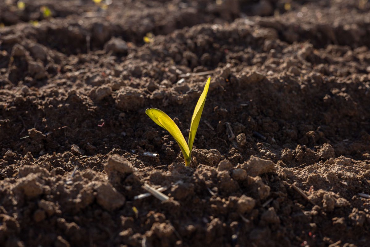 FarmPlus tweet media