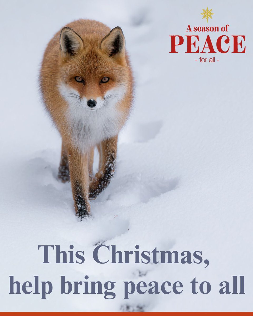 League Against Cruel Sports tweet media