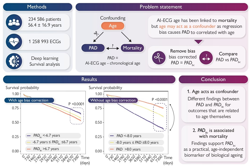 ESC_Journals's tweet image. #ArtificialIntelligence Predicted ECG Age Gap as a Biomarker: Bias-Adjusted Correlation with Mortality and Cardiovascular Risk Factors ow.ly/Lz4O50XzRsC 

#EHJDigital #DeepLearning @BruiningNico @rafavidalperez @fwasselbergs @rbcasado