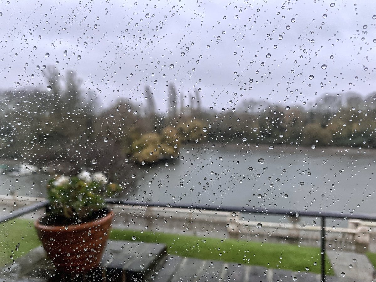 ruths_gallery's tweet image. A disappointing start to December - mild and wet. 🥲

#December #raindrops #rainyday #rain @SallyWeather #loveukweather @metoffice #viewfrommybalcony