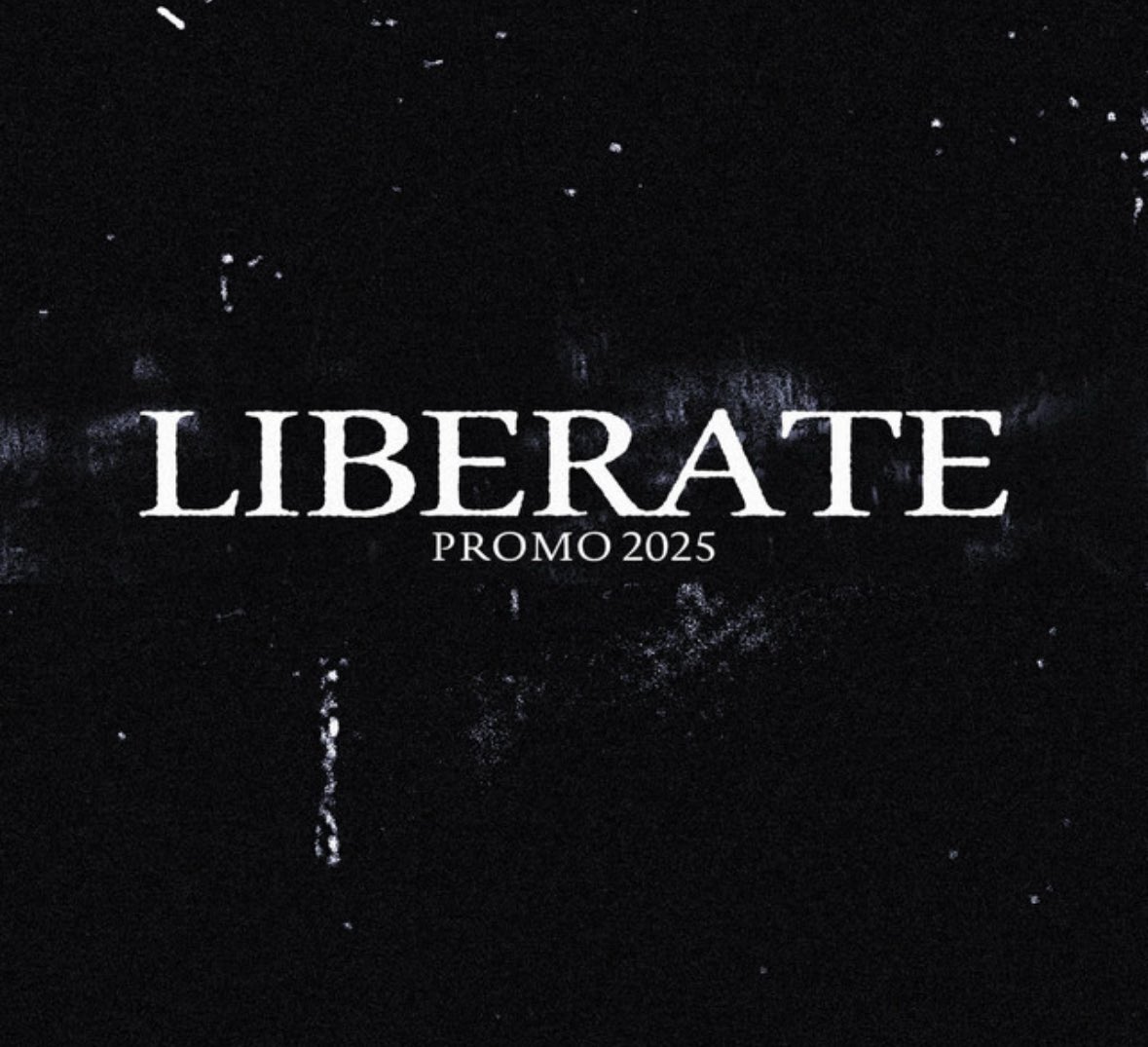 tofeelhealed's tweet photo. dungeon synth, iron age style riffs and solos, real australian metalcore and long islands violent metalcore finest at their best

coniferous myst - xi
neolithic - barbarism
ends in tragedy - beauty of death
liberate - promo 2025 https://t.co/RUD5UgDics