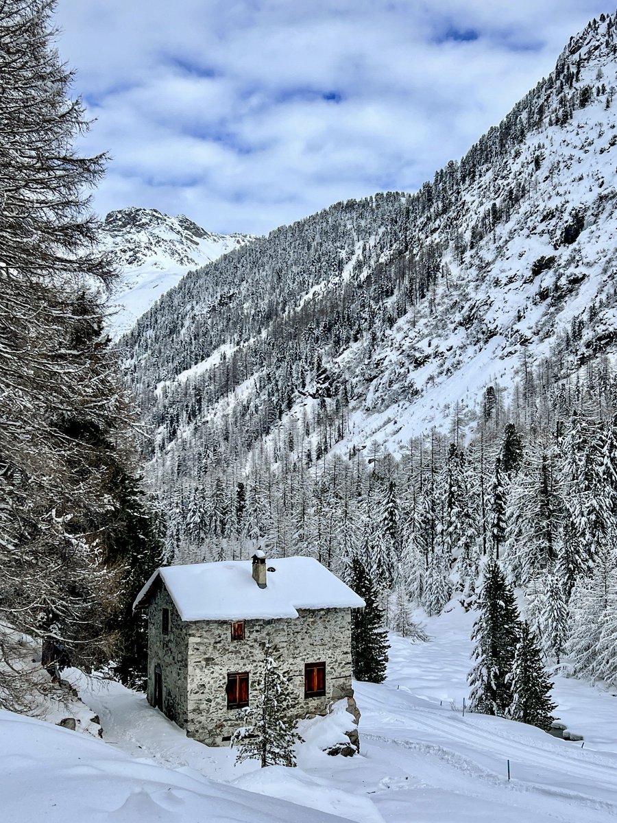 bergwelt_me's tweet image. Die Acla Colani im winterlichen Val Roseg – umgeben von Arven, Lärchen, Schnee und Stille. ❄️🏠

#Bergwelt #Schweiz #Graubünden #Engadin #Winter