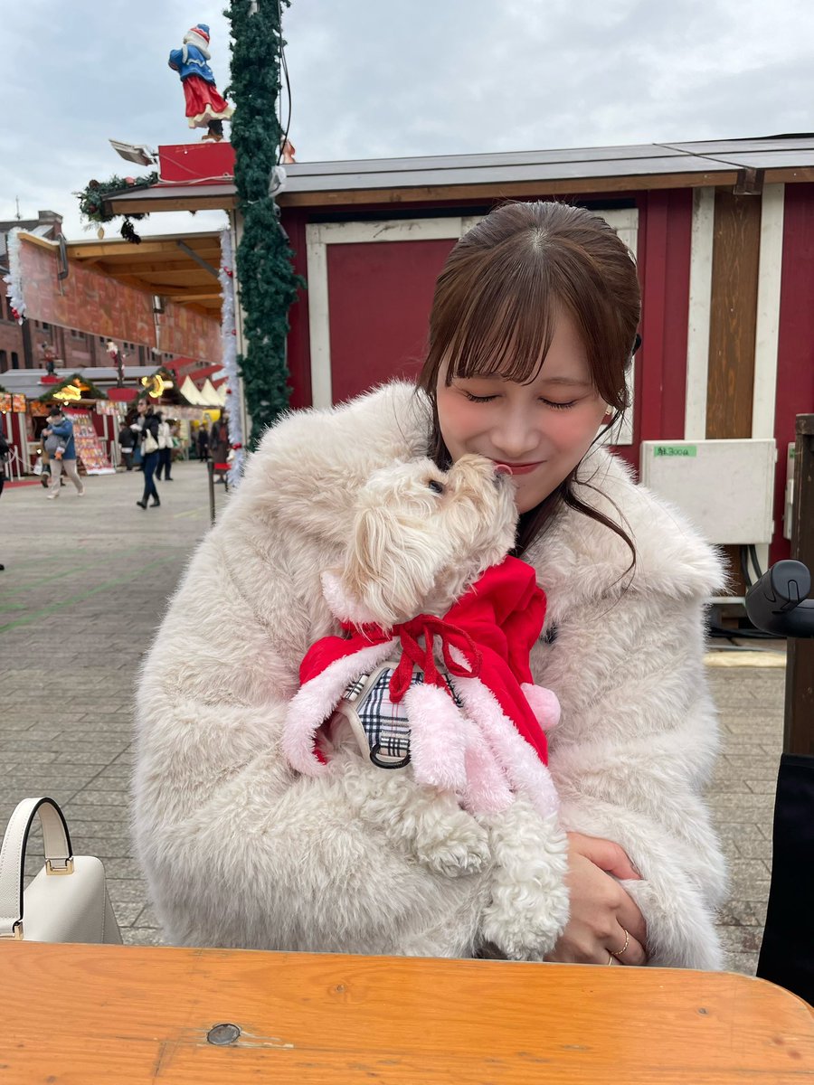 暦の上ではディセンバー♪ですね💞

クリスマスシーズンの街の雰囲気だいすき♡´-

I love the Christmas vibe!🎄✨
Japan has so many Christmas lights lately(ᵒ̴̷͈ᗨᵒ̴̶̷͈  )✧

#MNL48