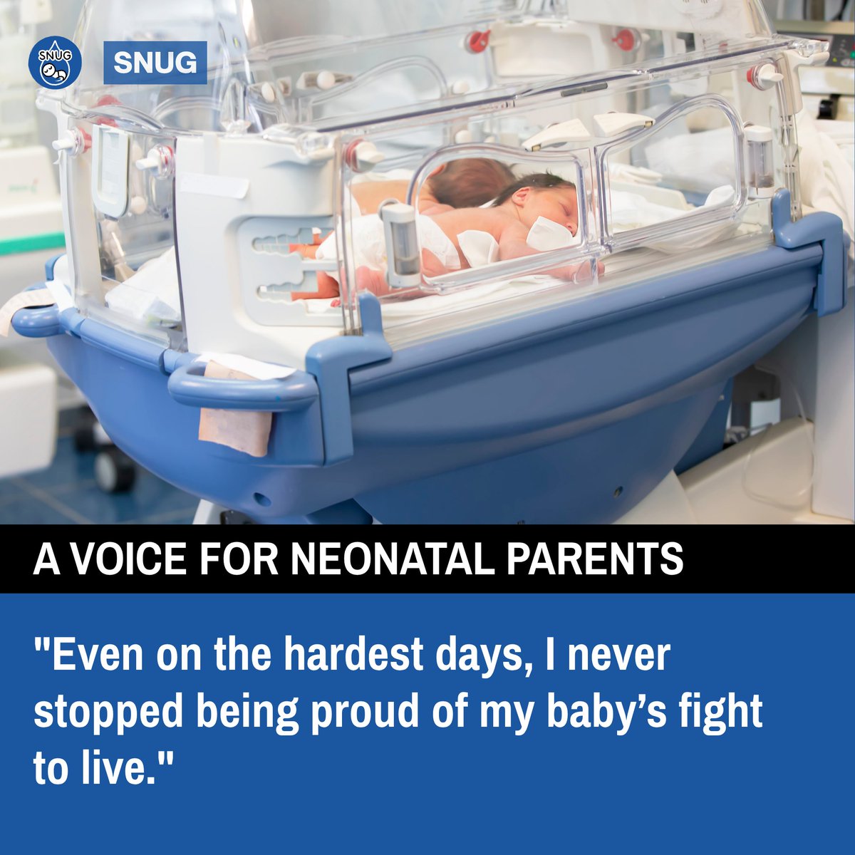 SNUG in Devon tweet media