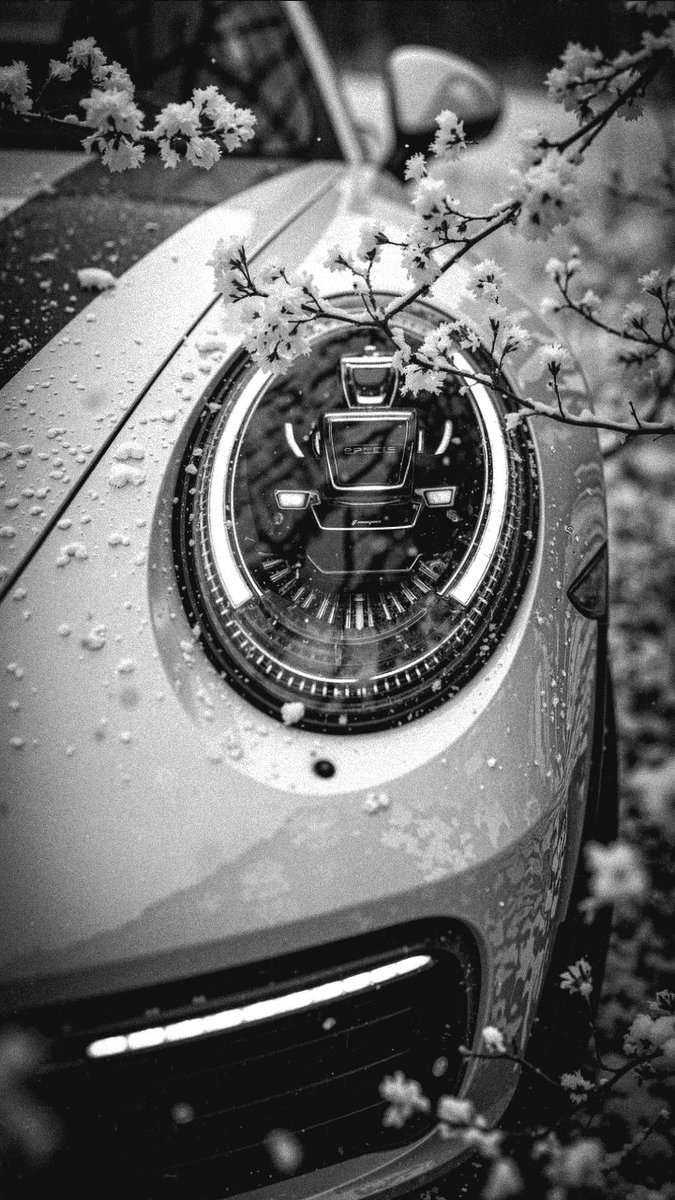 ☕🍂🎼

youtu.be/dxbZQXY3dTQ?si…