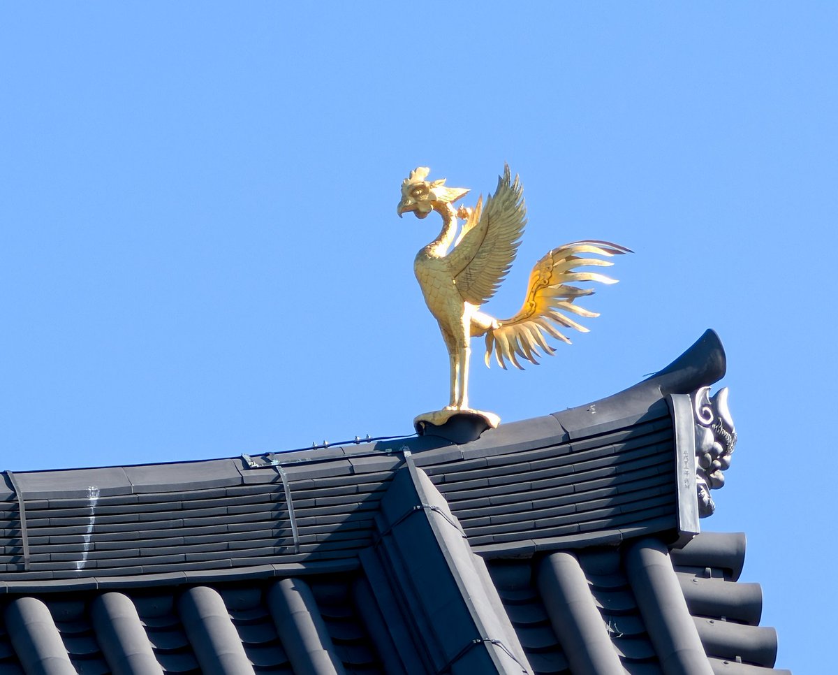 ヤンチ🗼Yanch🌐✳️🔆 (@yanchtakkar) / Posts / X