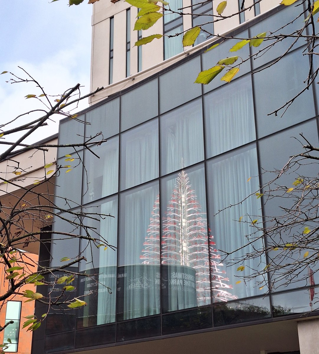 birdcampics's tweet image. December
#AlphabetChallenge #WeekWforWindows