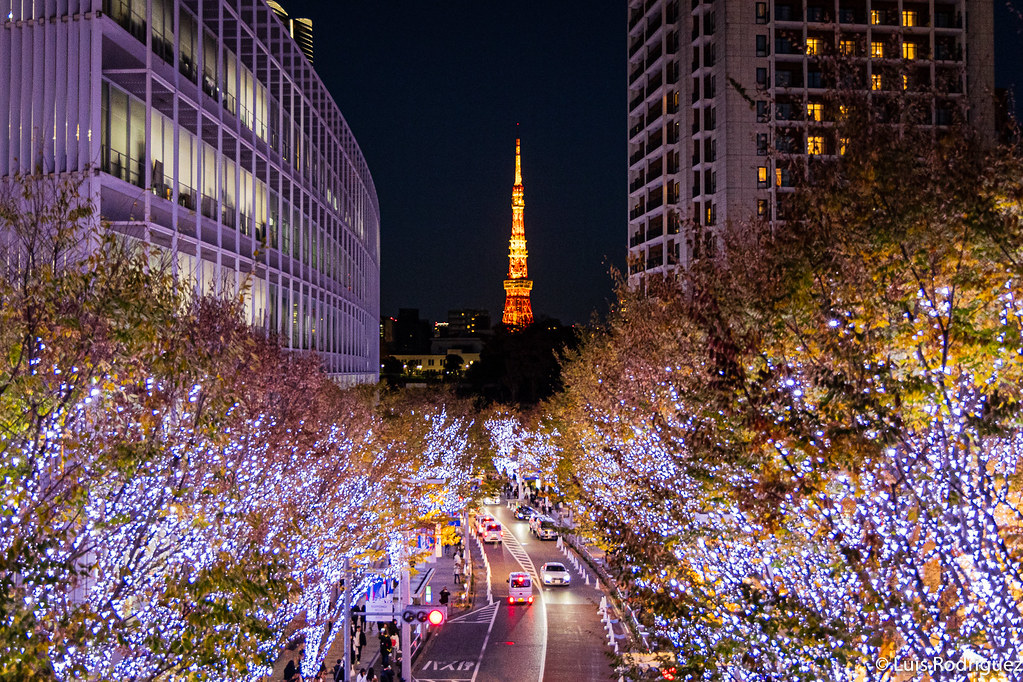 Arrancamos diciembre... ¡el último mes del año! Si viajas a Japón estas próximas semanas, este artículo te interesa, porque te damos mucha información sobre cómo es viajar a Japón en diciembre. Ponte el gorro y... ¡vamos! japonismo.com/blog/diciembre…
