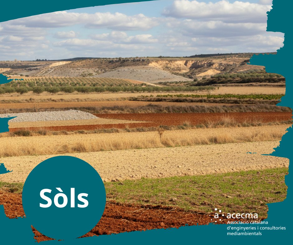 🆕 La nova directiva de Vigilància i Resiliència del Sòl.
➡️ La salut del sòl és el nou estàndard d’excel·lència. Les consultores d’ACECMA estem llestes per acompanyar els nostres clients en aquesta transformació.
🔗 acecma.es/ca/vigilancia-…