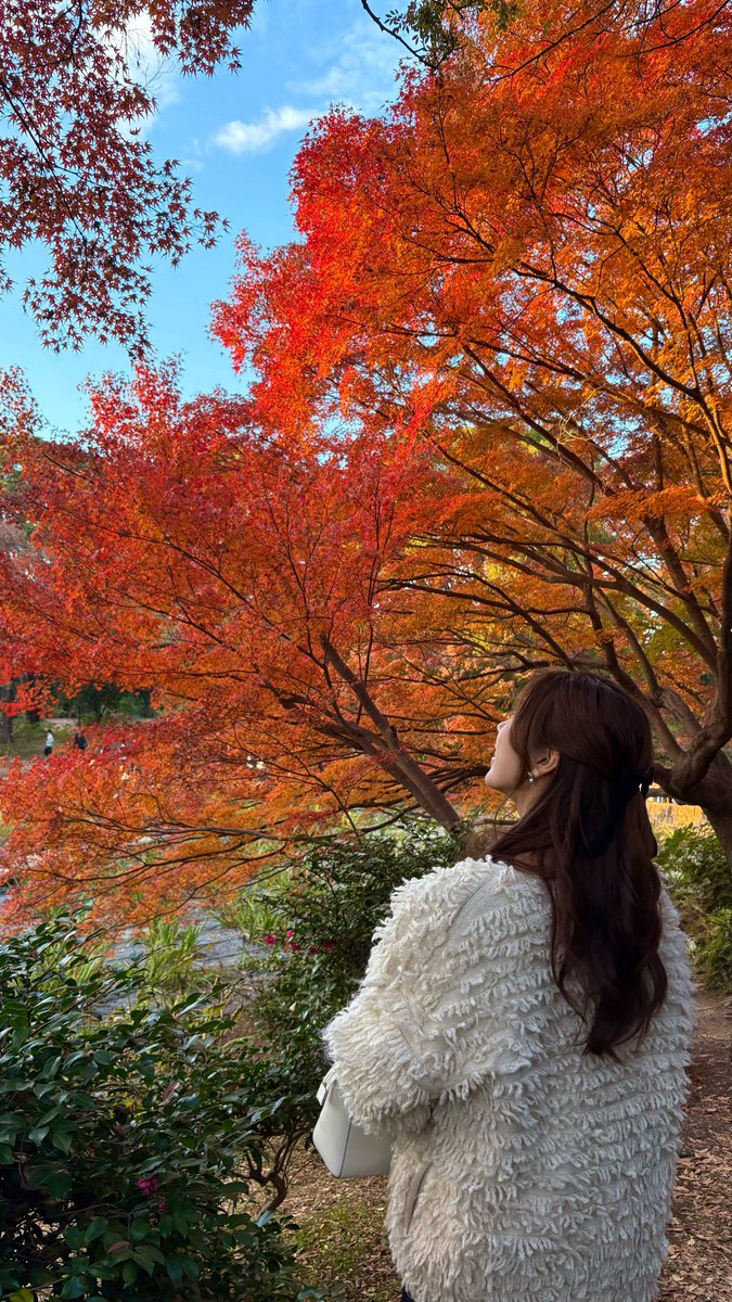 ** ┈┈┈┈┈┈**
Hello December🎄
** ┈┈┈┈┈┈**
12月に入りました！
2025年も残り1ヶ月ですね⌛️
本日は日本代表戦、来週からはリーグ再開です🏀
皆さんで全力応炎し、悔いなく今年を締めくくりましょう🔥❄️
#千葉ジェッツ #starjets

---📍昭和記念公園 ---