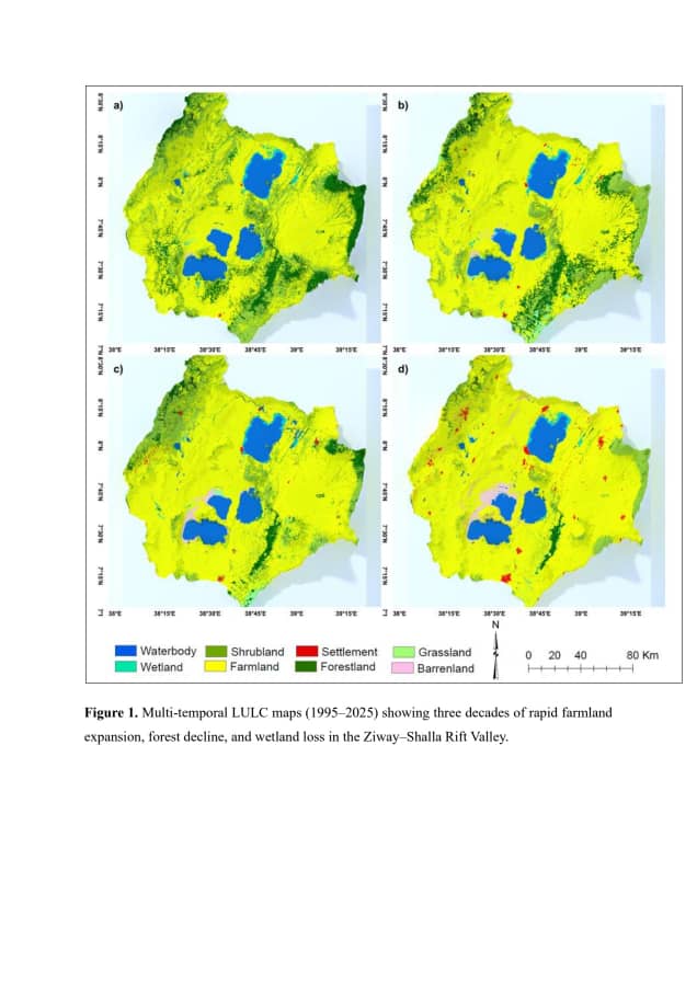 GeospatialRF's tweet image. In the heart of Ethiopia’s #Ziway–Shalla Rift Valley, the landscape tells a story etched across time a story of what once existed, what has changed, and what the future may hold. More details;  linkedin.com/feed/update/ur…