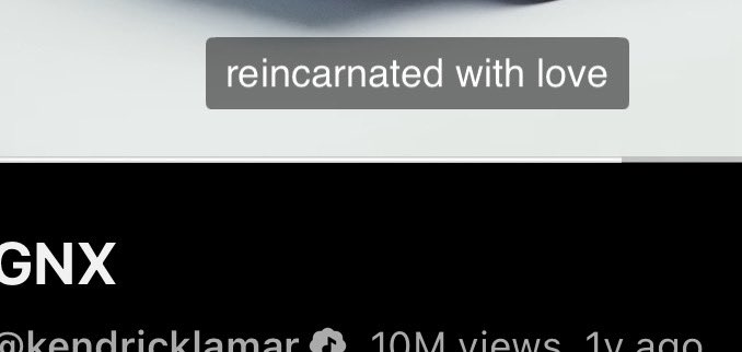 Leafs (@leafs_737) on Twitter photo 