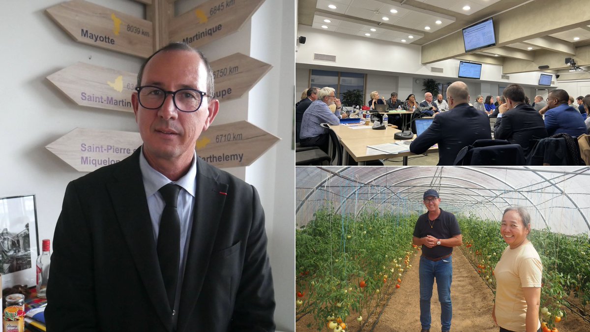 outremers360's tweet photo. Joël Sorres, Président de l'#ODEADOM « nous sommes le seul espace de dialogue, d'échange et de concertation pour l'#agriculture outre-mer »

➡️https://t.co/WkixkynJtU

➡️ Quelques jours après le dernier conseil d'administration de l'année 2025, qui s'est tenu les 20 et 21 novembre à Montreuil au siège de l'ODEADOM, Outremers360 fait le point avec Joël Sorrès, président du conseil d'administration de l'ODEADOM, et Jacques Andrieu, directeur de l'ODEADOM. L'occasion pour eux de faire le bilan de l'année marquée par la reconstruction post-cyclonique à #Mayotte et #LaRéunion, mais aussi sur la préservation du programme européen #POSEI, ou encore sur l'adaptation des #politiquesagricoles aux spécificités ultramarines. Pour les acteurs du monde agricole, l'un des prochains rendez-vous à suivre sera bien évidemment le Salon de l'agriculture 2026.