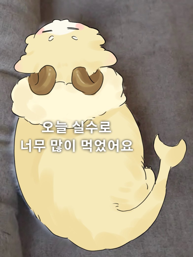 미르친 tweet media