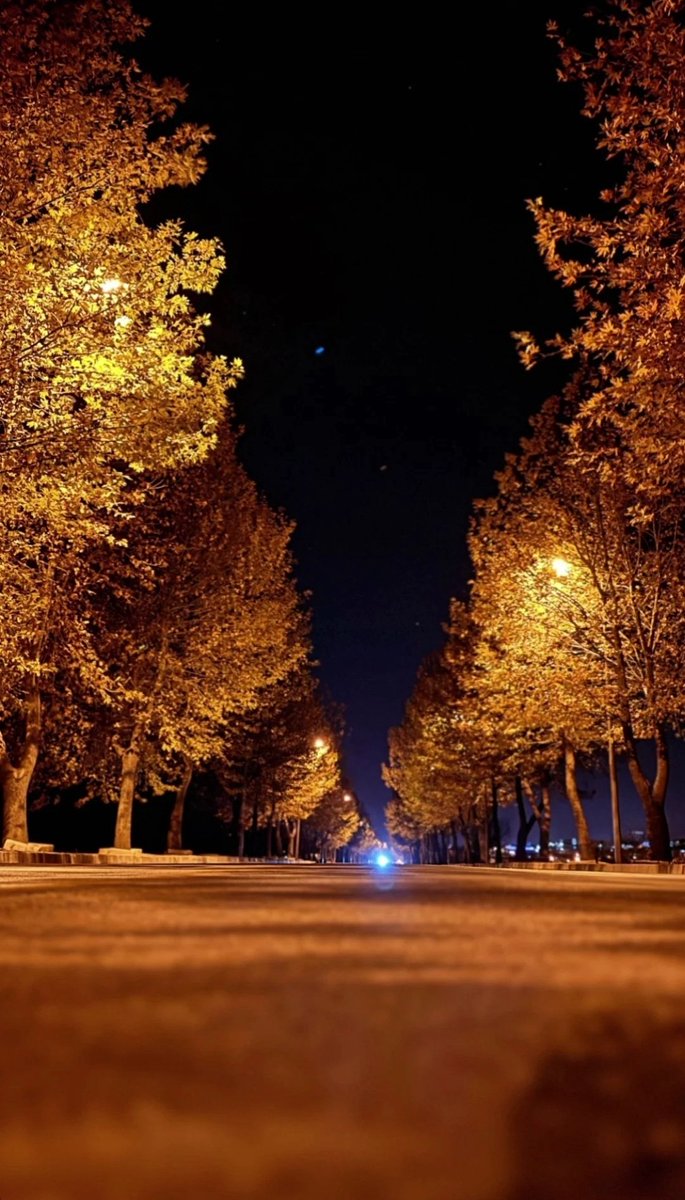 Ne beyazız kendi başımıza ne siyah, gibiyiz onlarca renk arasından kalkıp griye. demiş şairin biride bir şiirinde...
#aralıkhosgeldin
#sonbahar