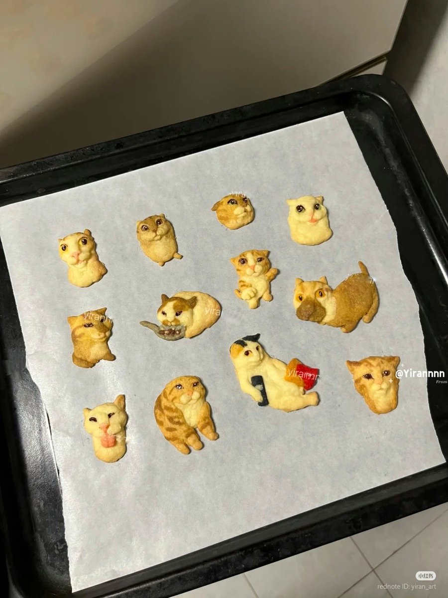 Cat cookies