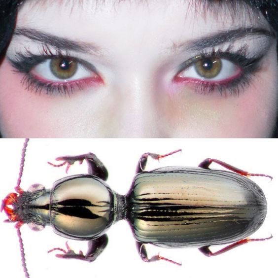 lovelyfemm's tweet image. 