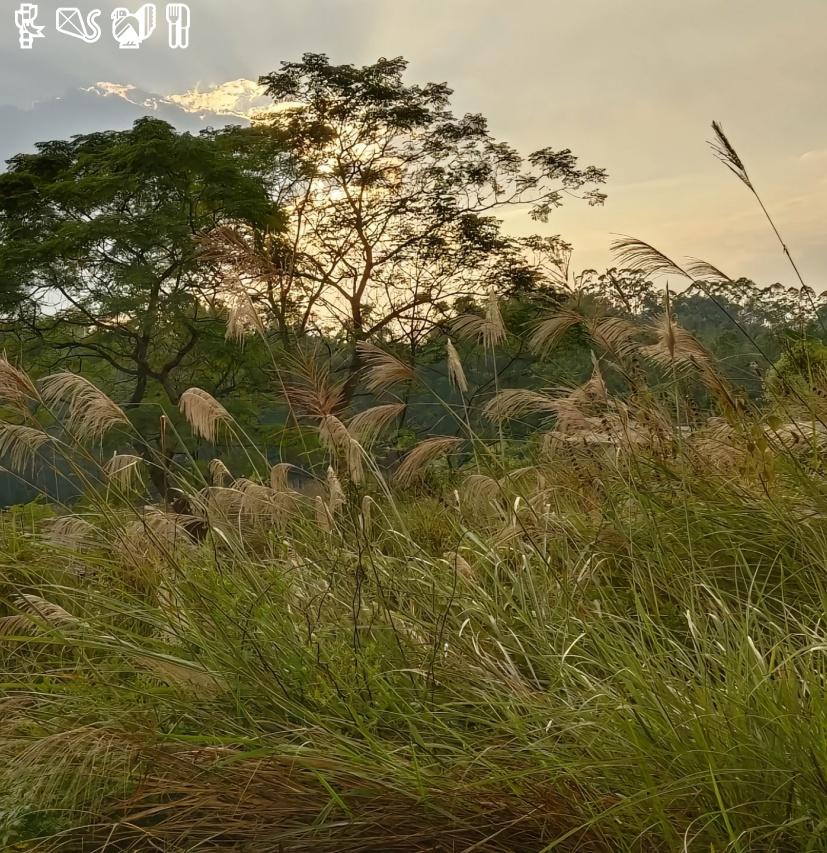 durablemind4's tweet image. Be a voice, not an echo.