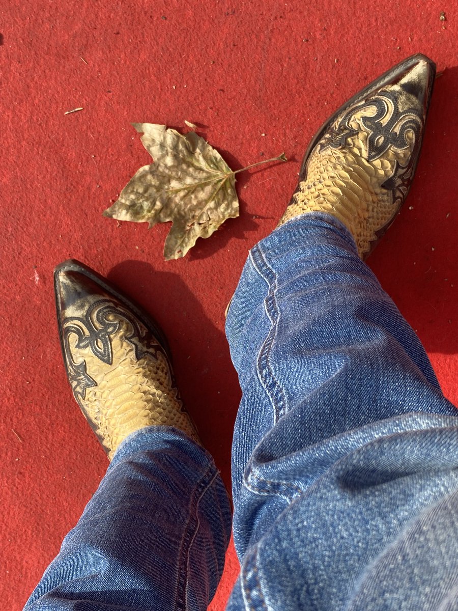 m_pkepa's tweet photo. #sendra #sendraboots #sendras #boots #botas #stiefel #stivali #gear365 #leather #leatherboots #boots365 #nofearingear #levis #levisjeans #cowboy #cowboyboots #levis501 #leatherman #leathergay #gayleatherman #tomoffinland #levis501 #sendrastiefel #botassendra https://t.co/9EOO8R3C93