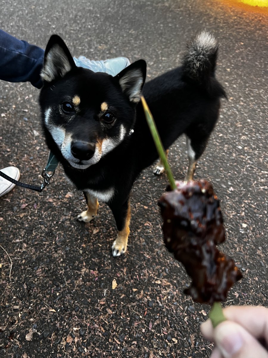 みあページ xxx (@xxx59634) / Posts / X