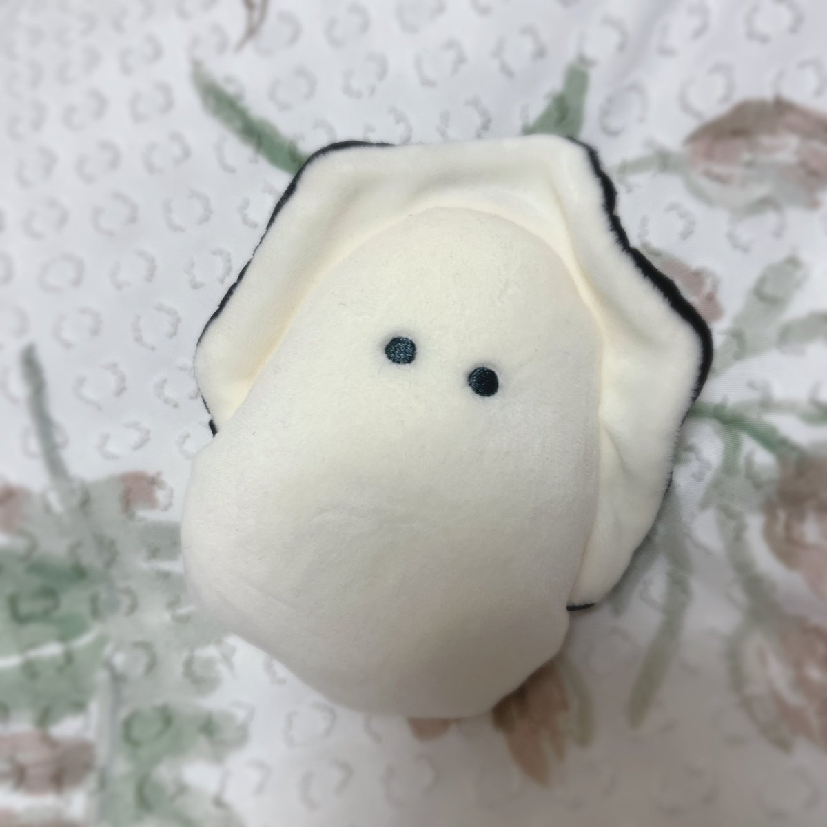 うささꪔ̤̫ ｜耳がきこえない漫画家｜書籍発売中✨ (@usasa21) / Posts / X