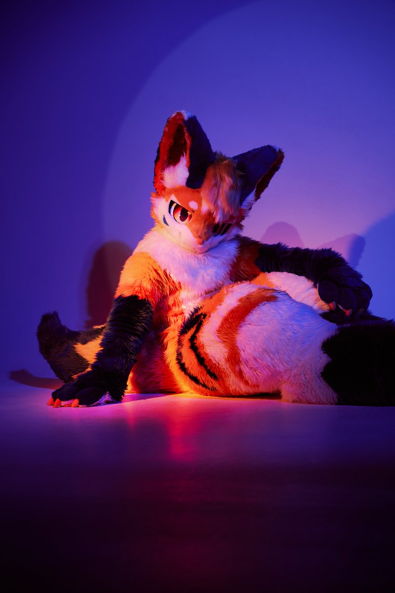 오랜만이야...!! 🦊💛

#Fursuit #FursuitEveryday