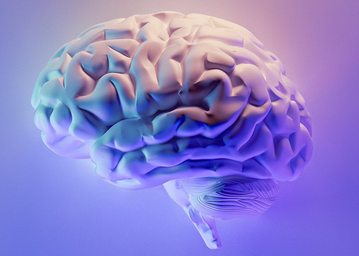 Investigadores de la UPM utilizan la Inteligencia Artificial para estudiar el Alzhéimer en personas con Síndrome de Down. 
🗞️short.upm.es/v8o9d
#somosUPM #nosoloingenieria #investigacionUPM