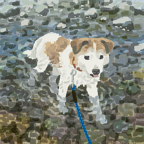 junkuma (@j_kmor) on Twitter photo 