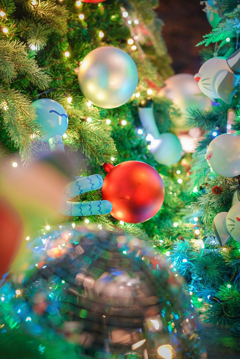 ＼日比谷オフィス／

クリスマスツリーが設営されていました🎄🎄🎄
このイルミネーションもEYオフィスならではの雰囲気です💡
仕事終わりに自然と冬の訪れを感じることができますね🎅

#EY新日本　#会計士