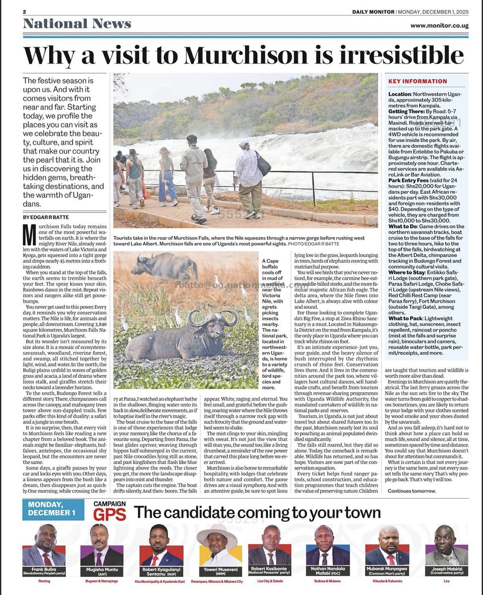 Each visit to Murchison Falls feels like reading a familiar book that never repeats. The Nile squeezes through a narrow gorge, drops 45m, and the earth trembles beneath your feet. Mist on your skin. Rainbows in the spray. Power u never get used to. This is Uganda’s wild heart 🇺🇬