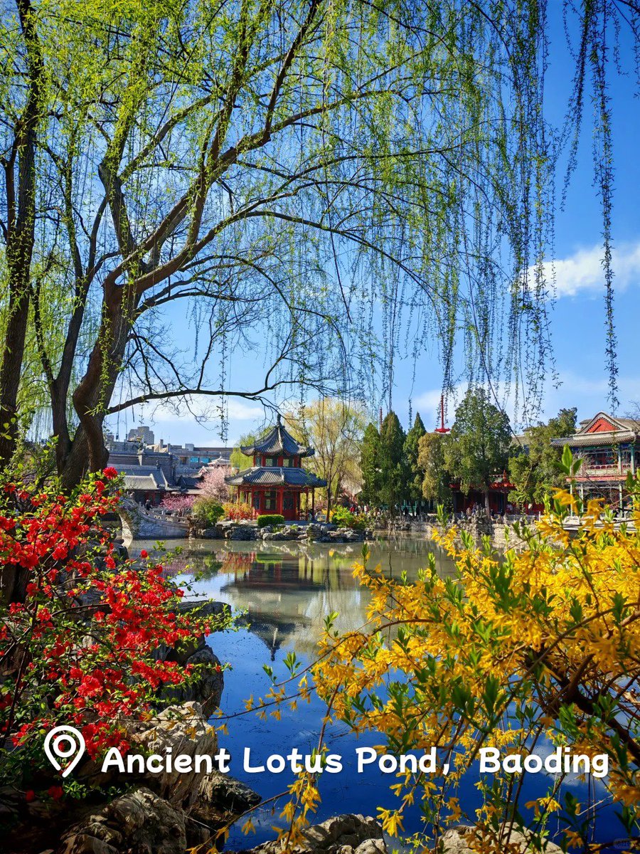 HebeiDaily's tweet image. 🌿 Baoding Awarded Gold in International Garden City Competition — Welcome to Baoding!

The city showcases Chinese sustainable urban development, blending ancient heritage with modern ecology through its &quot;mountains-waters-culture&quot; integration.
#Hebei #Baoding #GardenCity
