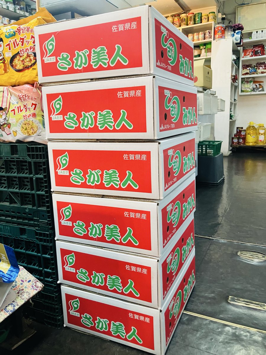 RahmaniaHalal's tweet photo. Our new stock of super sweet and juicy "Mikan" 🍊has arrived! Get a box now for a special offer price of 1,980 yen! Don't miss out✨

#rahmania_halal_supermarket #importedfood  #halal #halalfood #fruit #mikan #orange otsuka #tokyo #japan https://t.co/s9hWB3avMR
