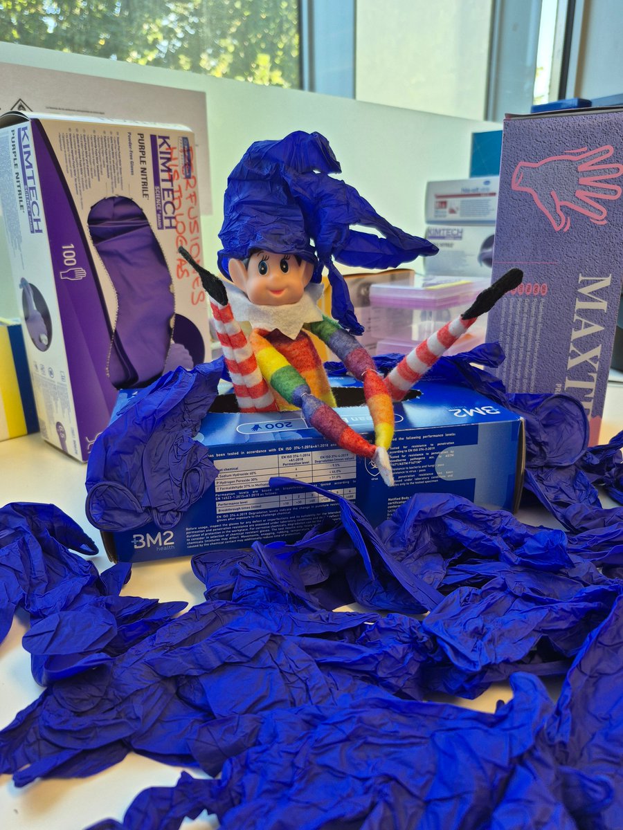 SENC_'s tweet image. 🎄🔬¡El duende navideño anda suelto por los labs!

🧙El duende travieso de la #SENC ha comenzado su recorrido por los laboratorios… y esta noche ha visitado el Grupo de Circuitos Neuronales y Comportamiento del @HNParaplejicos @IDISCAM, liderado por @JuliRosaNeuro... (1/2)